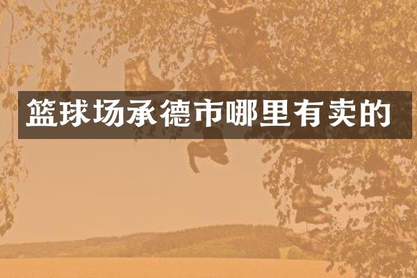 篮球场承德市哪里有卖的