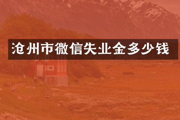 沧州市微信失业金多少钱