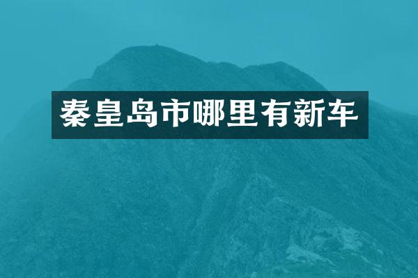秦皇岛市哪里有新车