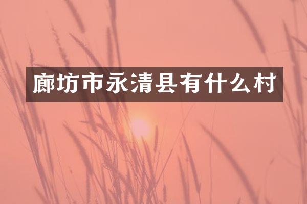 廊坊市永清县有什么村