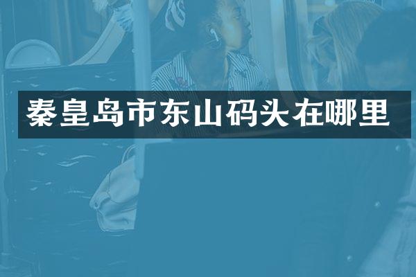 秦皇岛市东山码头在哪里