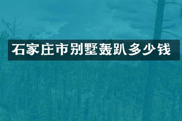 石家庄市别墅轰趴多少钱