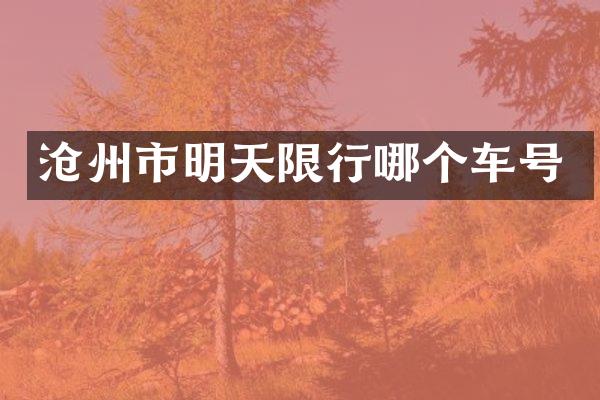 沧州市明天限行哪个车号