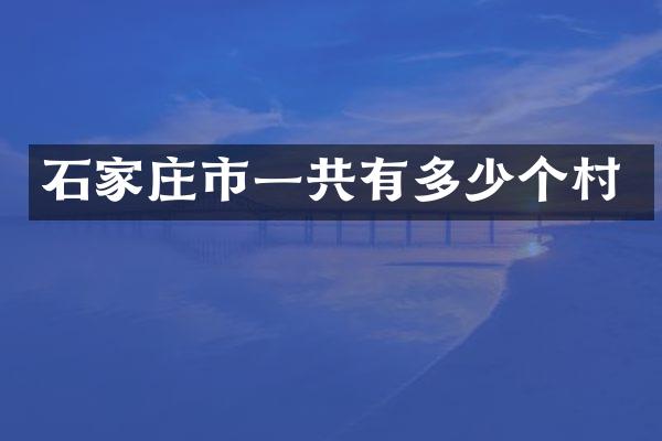 石家庄市一共有多少个村
