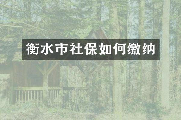 衡水市社保如何缴纳