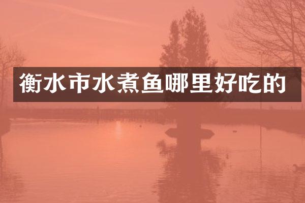 衡水市水煮鱼哪里好吃的