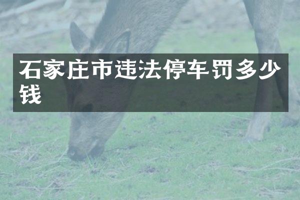 石家庄市违法停车罚多少钱