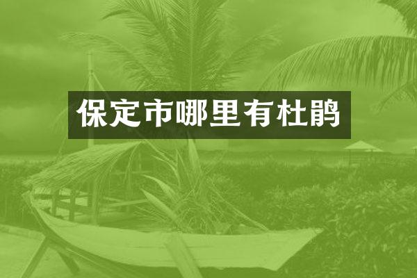 保定市哪里有杜鹃