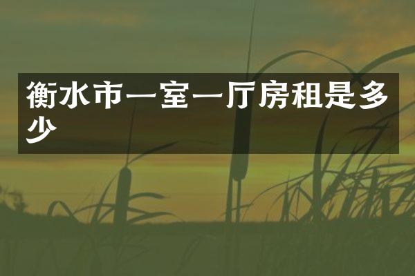 衡水市一室一厅房租是多少