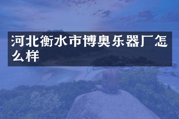 河北衡水市博奥乐器厂怎么样