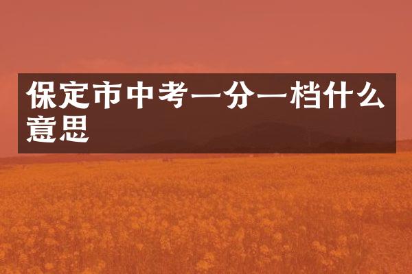 保定市中考一分一档什么意思