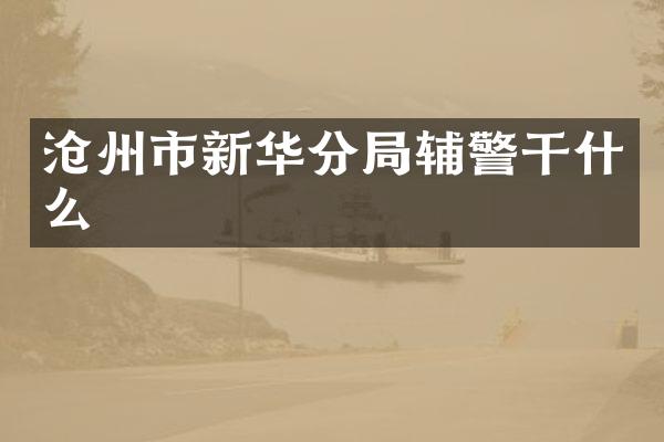 沧州市新华分局辅警干什么