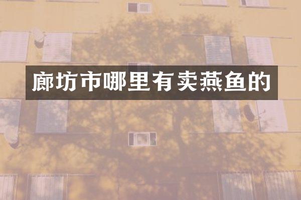 廊坊市哪里有卖燕鱼的