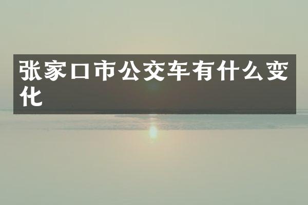 张家口市公交车有什么变化