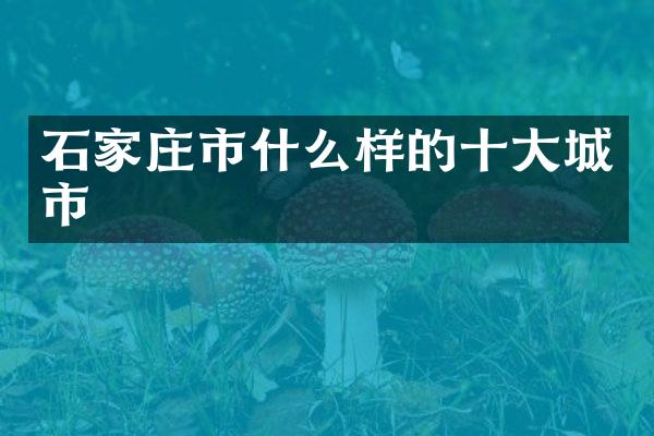 石家庄市什么样的十大城市