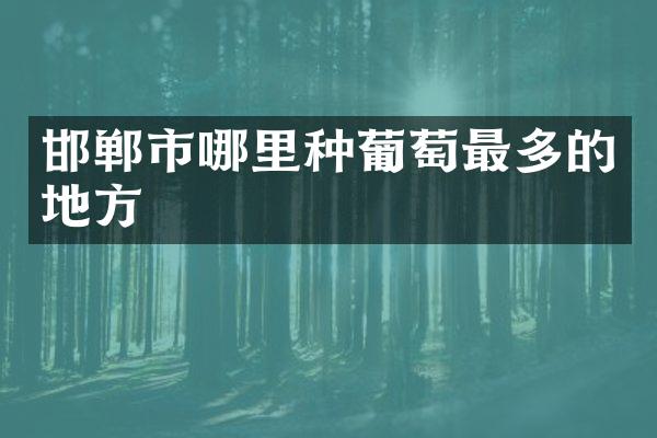 邯郸市哪里种葡萄最多的地方