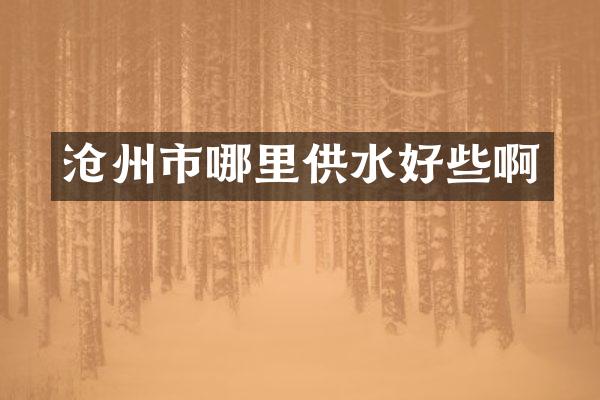 沧州市哪里供水好些啊
