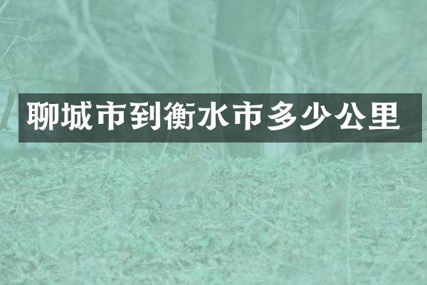 聊城市到衡水市多少公里