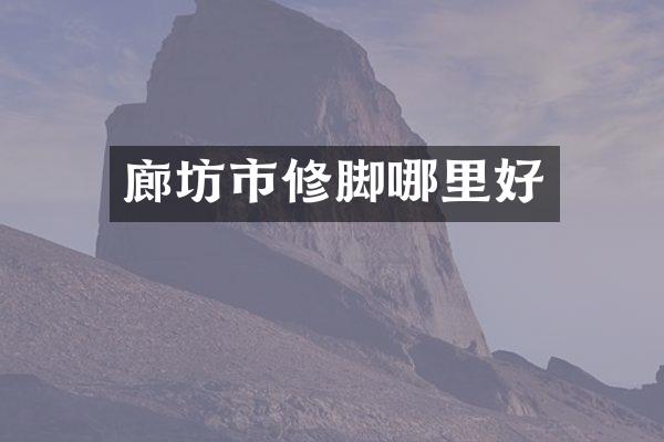 廊坊市修脚哪里好