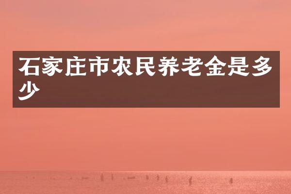 石家庄市农民养老金是多少