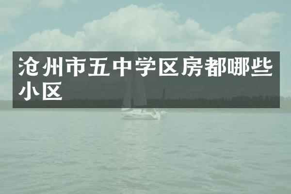 沧州市五中学区房都哪些小区