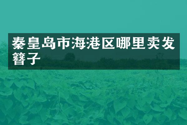 秦皇岛市海港区哪里卖发簪子