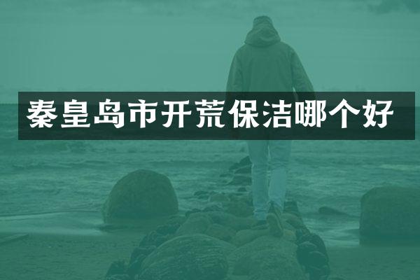 秦皇岛市开荒保洁哪个好