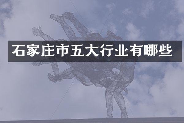 石家庄市五大行业有哪些