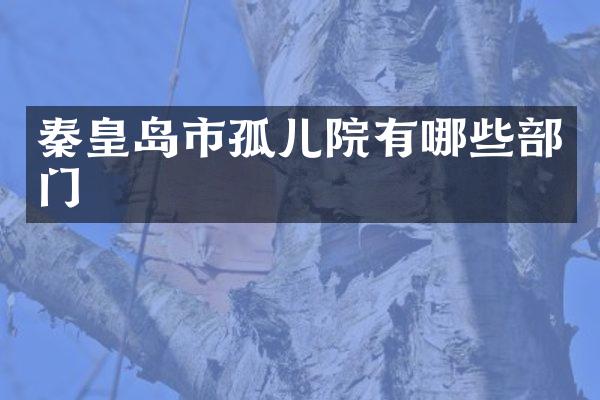 秦皇岛市孤儿院有哪些部门