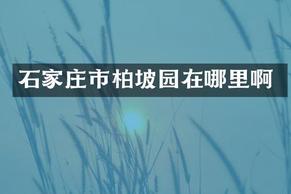 石家庄市柏坡园在哪里啊