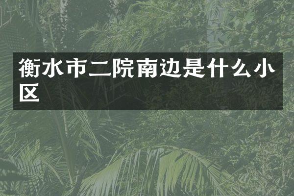 衡水市二院南边是什么小区
