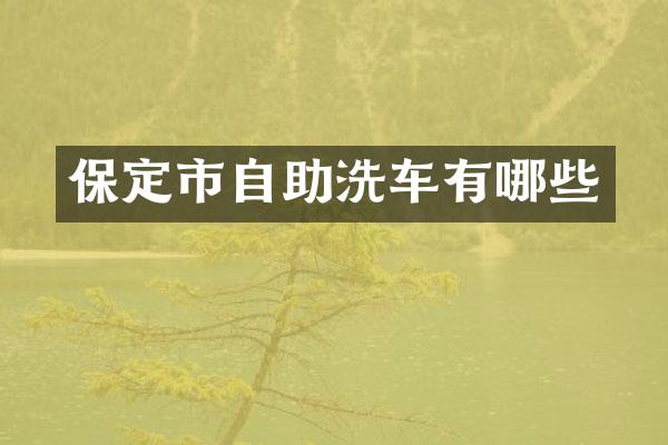 保定市自助洗车有哪些