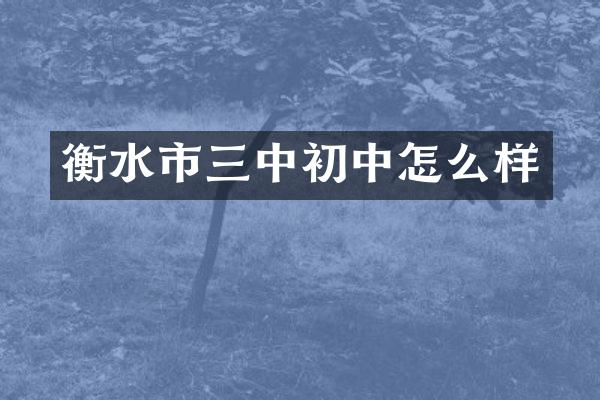 衡水市三中初中怎么样