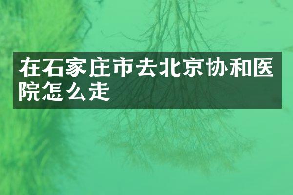在石家庄市去北京协和医院怎么走