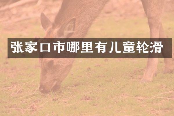 张家口市哪里有儿童轮滑