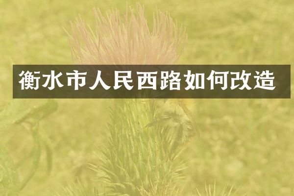 衡水市人民西路如何改造