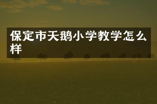 保定市天鹅小学教学怎么样