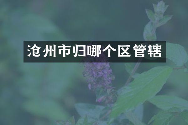 沧州市归哪个区管辖