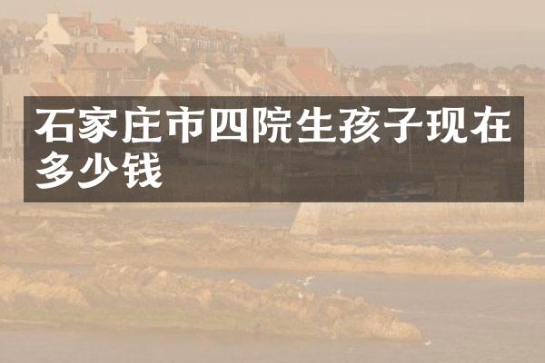 石家庄市四院生孩子现在多少钱
