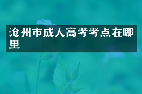 沧州市成人高考考点在哪里