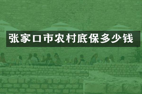 张家口市农村底保多少钱