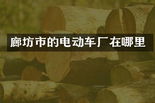廊坊市的电动车厂在哪里