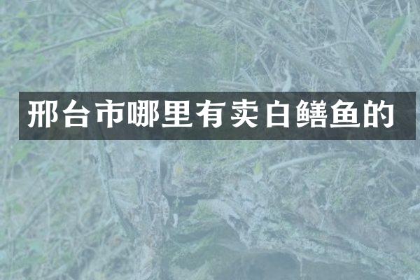 邢台市哪里有卖白鳝鱼的