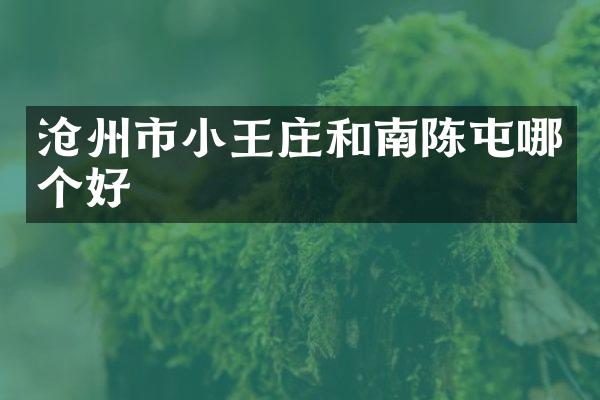 沧州市小王庄和南陈屯哪个好