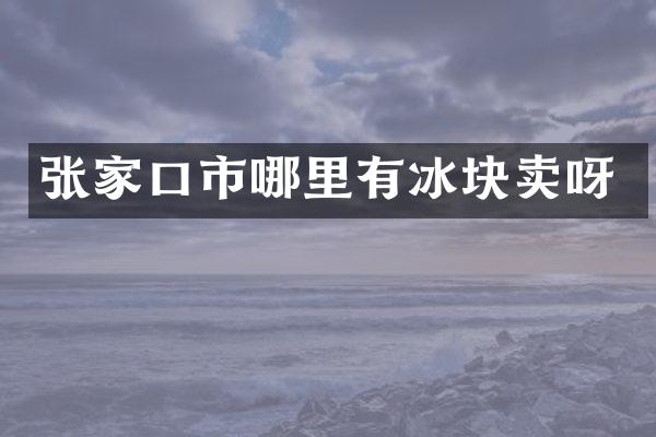 张家口市哪里有冰块卖呀