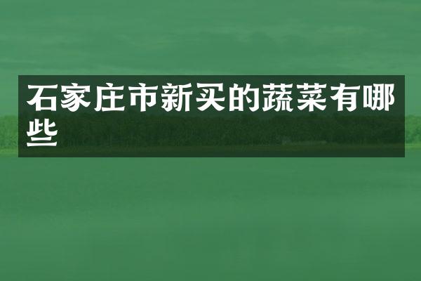 石家庄市新买的蔬菜有哪些