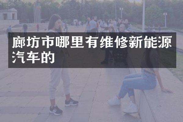 廊坊市哪里有维修新能源汽车的