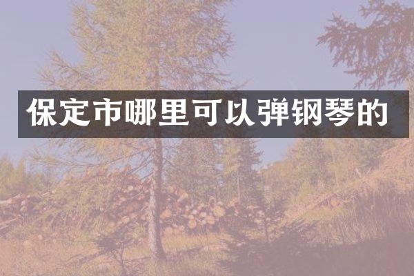 保定市哪里可以弹钢琴的