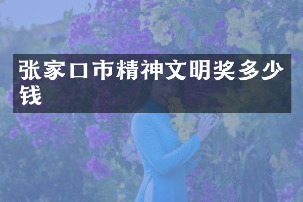 张家口市精神文明奖多少钱