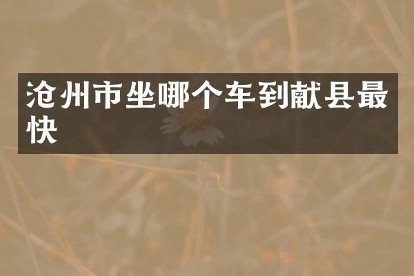 沧州市坐哪个车到献县最快